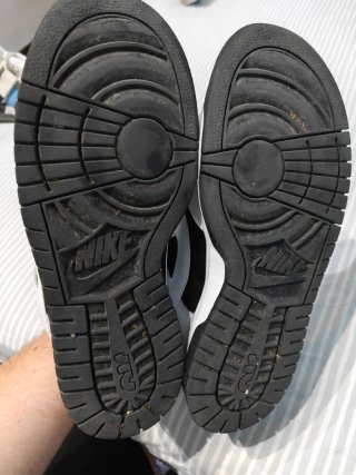 Nike Dunk Jumbo Reverse Panda