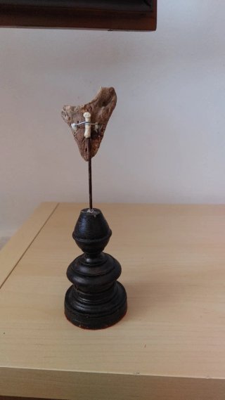 Fossile su base