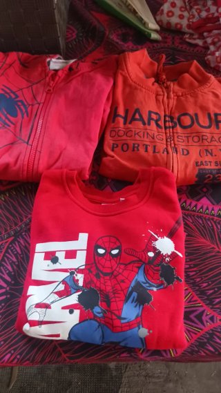 Lote Ropa Niño Chaquetas y Sudadera