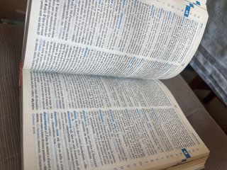 Diccionari bàsic llengua catalana