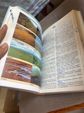 Diccionari bàsic llengua catalana
