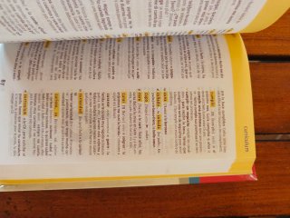 Diccionario Escolar français-espagnol / español...