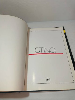 Libro su Sting Anni 80