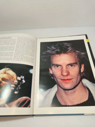 Libro su Sting Anni 80