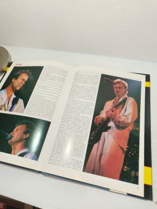 Libro su Sting Anni 80