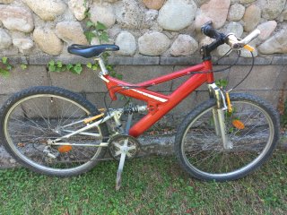 Bicicleta montaña Raider