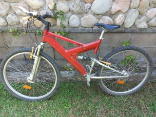 Bicicleta montaña Raider