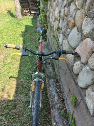 Bicicleta montaña Raider