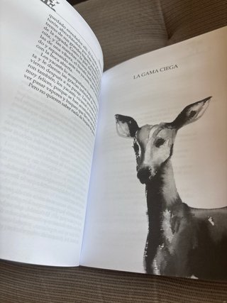 Cuentos de la selva