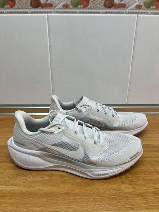 Nike Pegasus 41