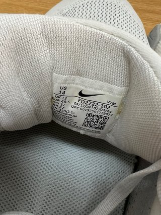 Nike Pegasus 41