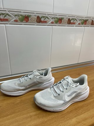 Nike Pegasus 41