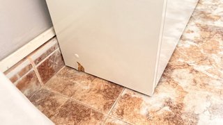 Elegante Zapatero Ikea Blanco