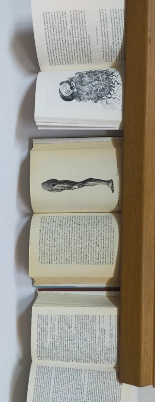 Lote 3 libros literatura