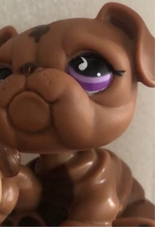 Littlest Pet Shop #881 Perro Marrón