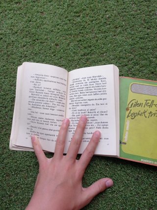 Ikusezina eta Gilen tell-ek begiak triste liburuak