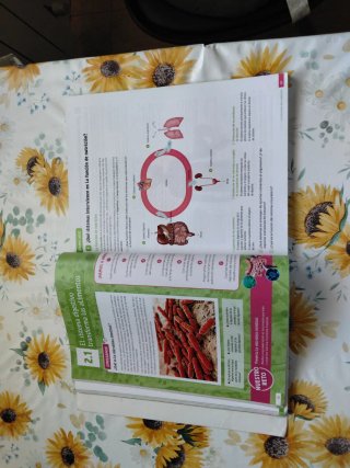 Biología y Geología. 3 eso Revuela 9788413927855