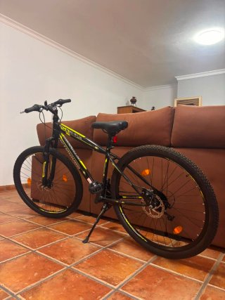 Bicicleta Actimover Hi-Fly 29