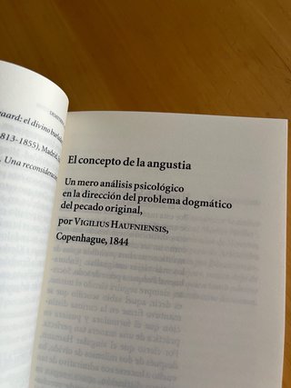 El concepto de la angustia