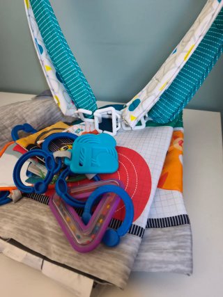 Gimnasio actividades Baby Einstein