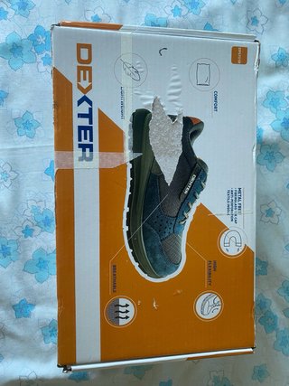 Zapatos de seguridad Dexter Talla 39