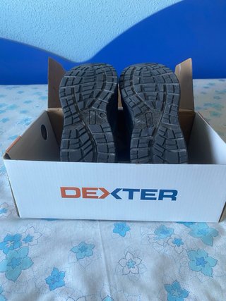 Zapatos de seguridad Dexter Talla 39