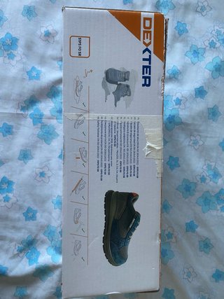 Zapatos de seguridad Dexter Talla 39