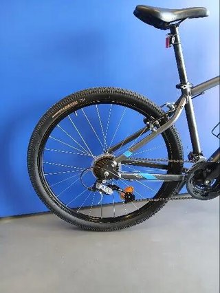 rockrider st 100