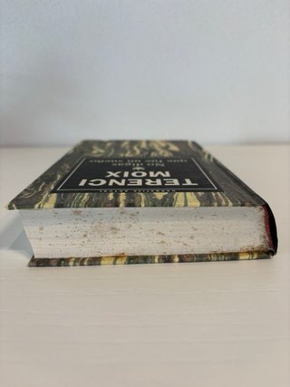 Libro No digas que fue un sueño - Terenci Moix