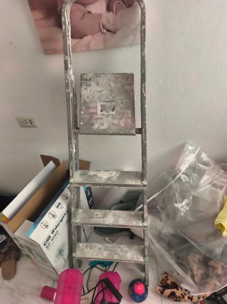 Escalera de mano metálica