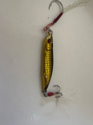Kit de pesca ( negociable)