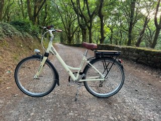 Bicicleta Eléctrica Litium Berlin
