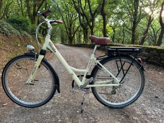 Bicicleta Eléctrica Litium Berlin