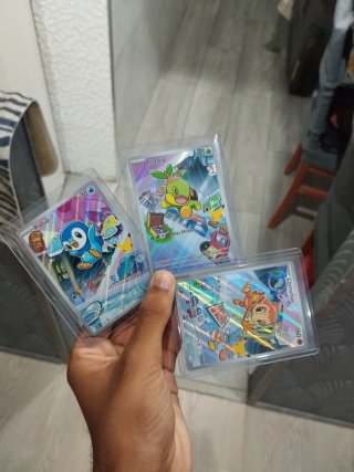 Trío de Sinnoh Primer Compañero Serie 1