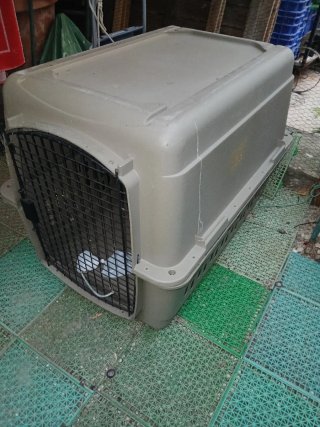 Transportin perro grande