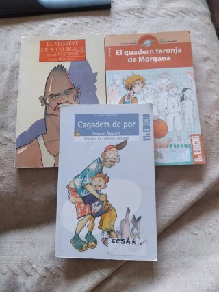 Libros lectura valenciano