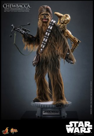 Hot Toys Chewbacca C-3PO Star Wars Ep V.