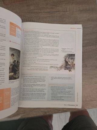 Lengua castellana y literatura