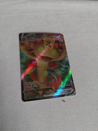 Lote de 10 cartas Pokemon