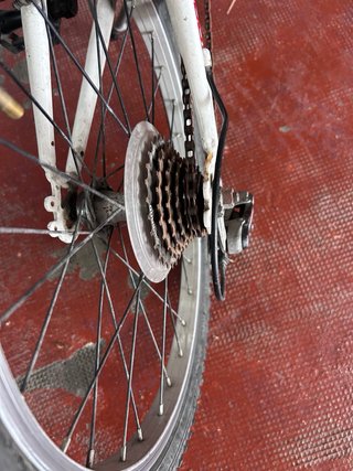 Bicicleta Orbea eXtreme Infantil