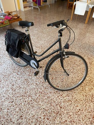 Bicicleta Oxford Urbana con Alforjas