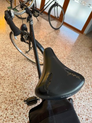 Bicicleta Oxford Urbana con Alforjas