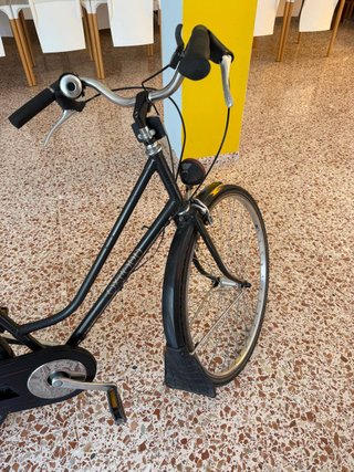 Bicicleta Oxford Urbana con Alforjas