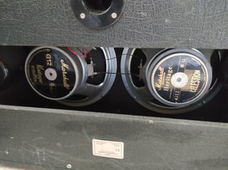 Marshall JCM 2000 TSL60 + Pantalla