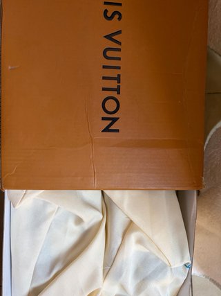 Zapatos Louis Vuitton