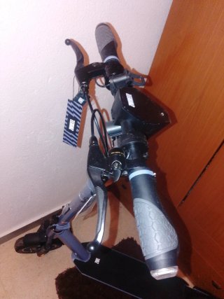 Patinete Eléctrico ZWHEEL ZFOX MAX-01