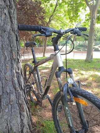 Bicicleta de Montaña Trek Adulto