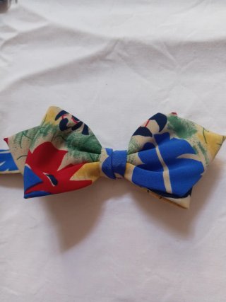 Papillon seta multicolore Maestro by Striessnig -