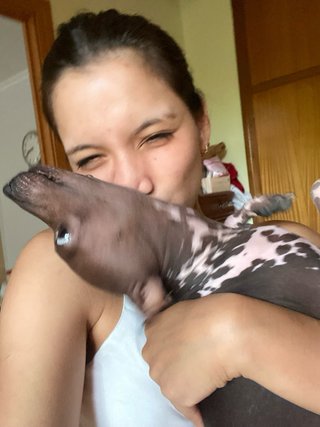 Cuidado de mascotas