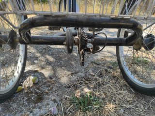 Triciclo Monty para adulto